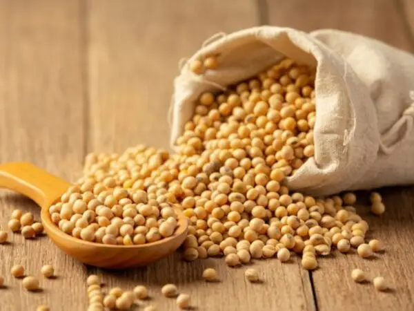 Soy bean